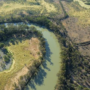 ACCC Murray Darling Basin Water Markets Interim Report