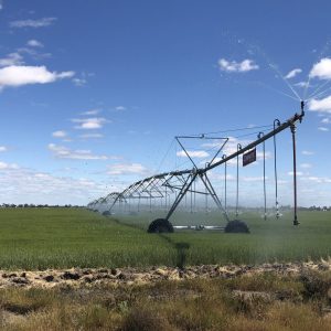 Australian Farmlands Fund shows results in water usage