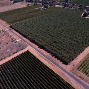 US drought impacts agricultural outcomes