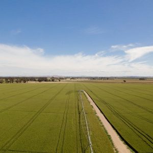 Kilter Rural closes Australian Farmlands Fund at $65m, reports 18% valuation uplift on farmland property portfolio