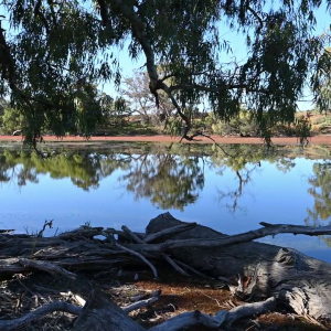 Webinar: Join Kilter’s Euan Friday and TNC Australia’s Dr James Fitzsimons to discuss the Murray-Darling Basin Balanced Water Fund.