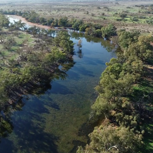 Kilter Rural finalises unprecedented water donation to renew wetlands in the southern Murray-Darling Basin