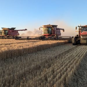 Tough season wraps up with successful winter crop harvest