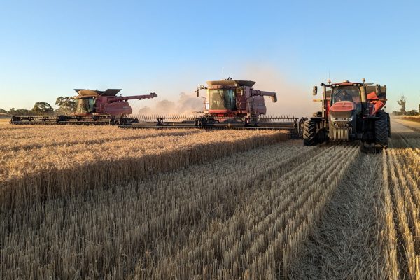 Tough season wraps up with successful winter crop harvest